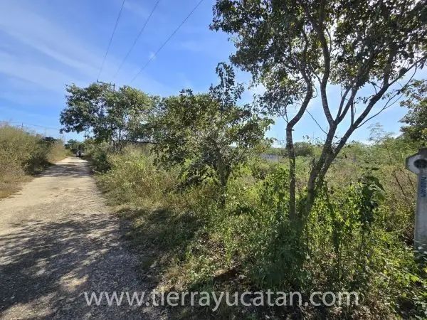 Terreno Residencial Abierto 1,000 M² San Luis Cholul — foto 3