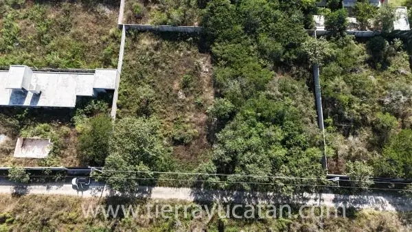Terreno Residencial Abierto 1,000 M² San Luis Cholul — foto 6