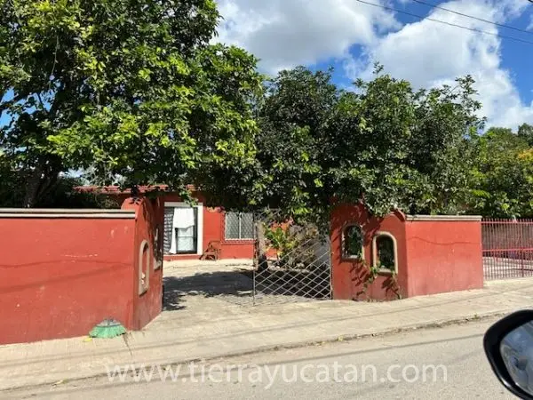 Casa de 2 Habitaciones Muy Linda y Limpia en un Lote Enorme - Motul