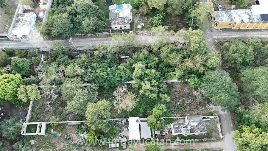 Terreno Amplio en Conkal — foto 4