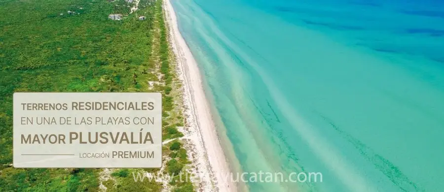 Terrenos Cerca de la Playa en Chicxulub! — foto 2