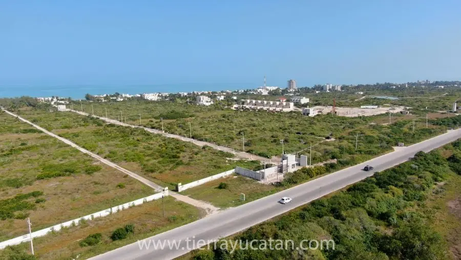 Terrenos Cerca de la Playa en Chicxulub! — foto 6