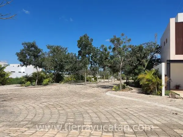 Construye Tu Casa a Tu Gusto en Soluna — foto 6