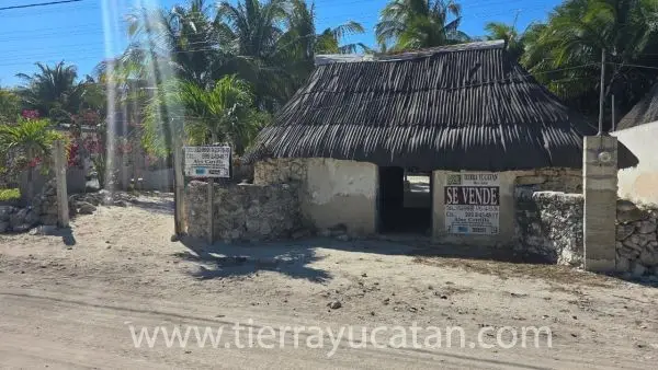Lote de Playa con Hermosas Palmeras y Casa Maya en Telchac, 4 Cuadras al Mar