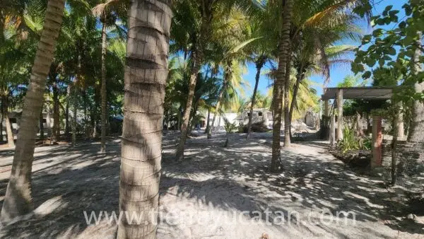 Lote de Playa con Hermosas Palmeras y Casa Maya en Telchac, 4 Cuadras al Mar — foto 2