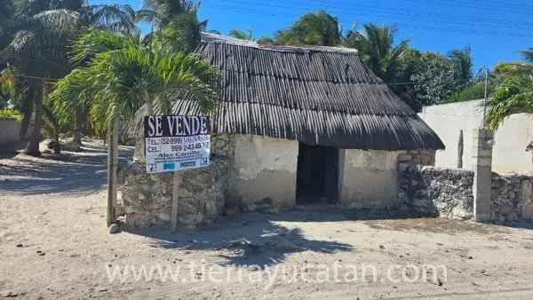 Lote de Playa con Hermosas Palmeras y Casa Maya en Telchac, 4 Cuadras al Mar — foto 3