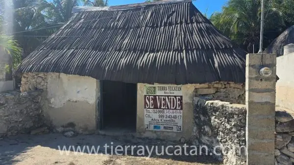 Lote de Playa con Hermosas Palmeras y Casa Maya en Telchac, 4 Cuadras al Mar — foto 4