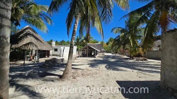Lote de Playa con Hermosas Palmeras y Casa Maya en Telchac, 4 Cuadras al Mar — foto 6