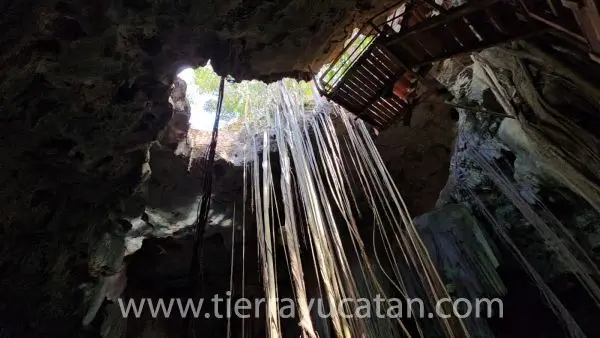 ¡Hacienda del Siglo Xviii con Cenote y 163 Hectareas! — foto 3
