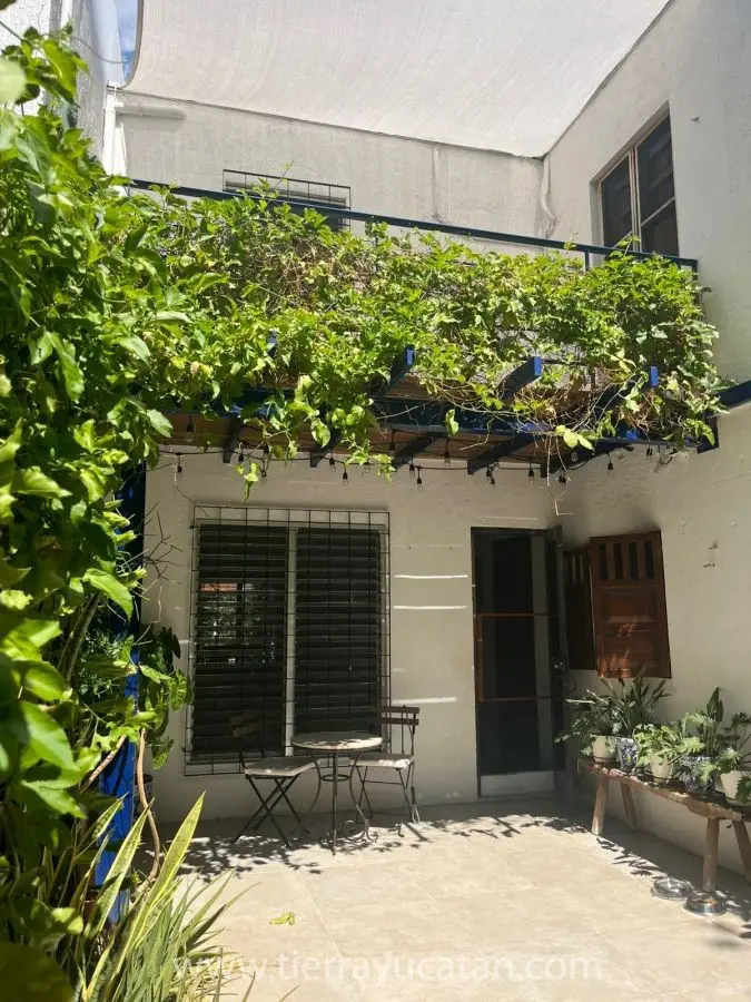 Fresca, en Armonia y Paradisiaca Casa en el Tradicional Barrio de Chuburna — foto 4