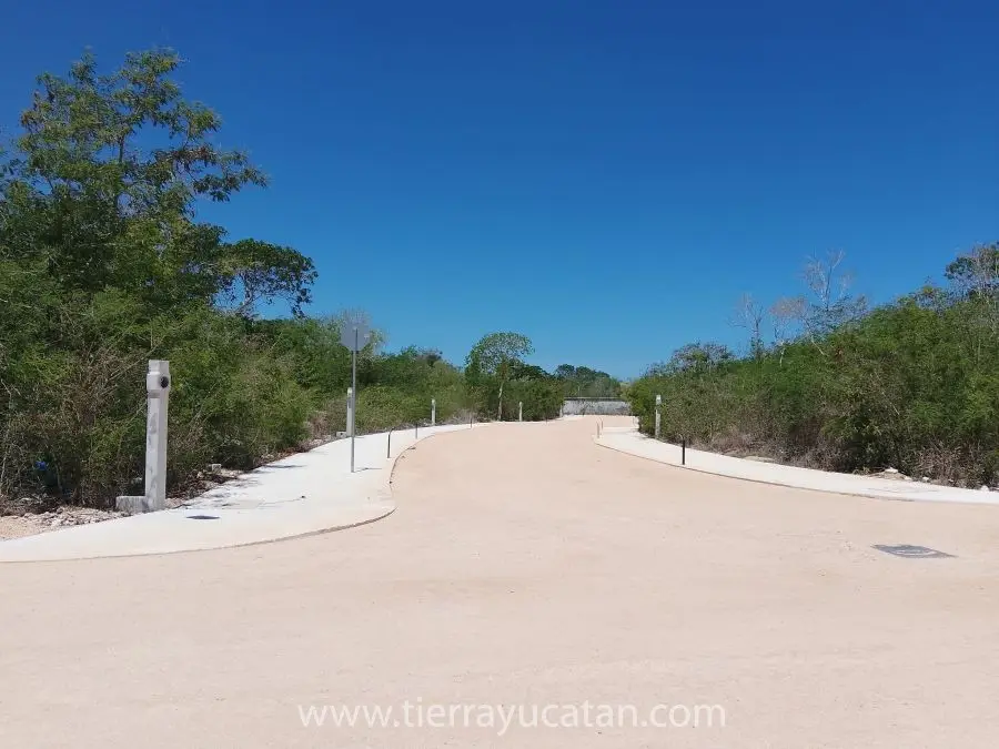 Piaro, Vive a 10 Minutos de Progreso — foto 2