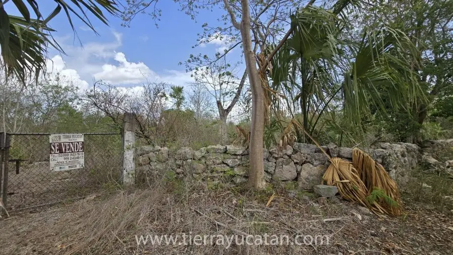 Terreno en Mococha — foto 5