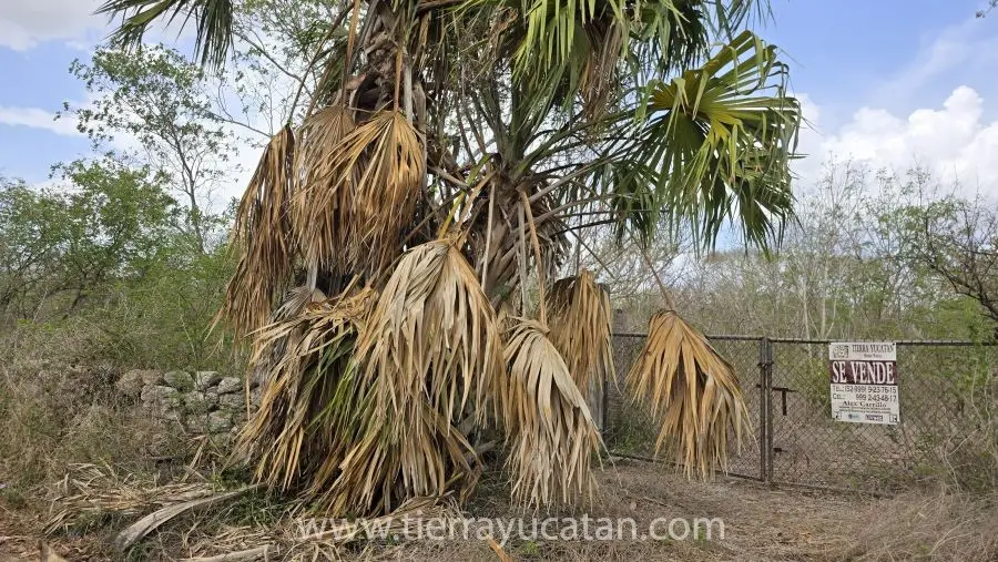 Terreno en Mococha — foto 6