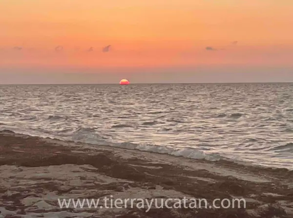 Renta Frente al Mar en Telchac Puerto — foto 11