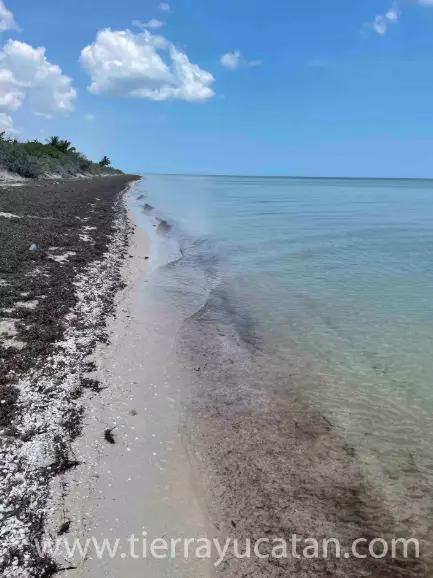 Renta Frente al Mar en Telchac Puerto — foto 12