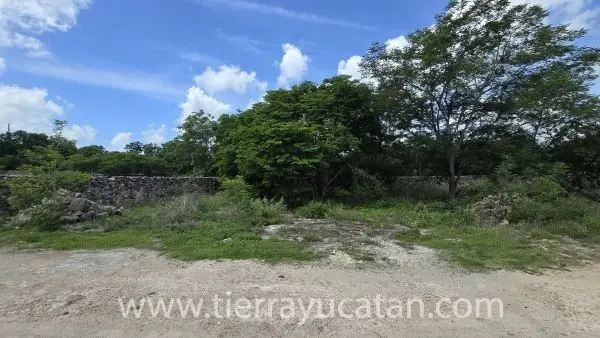 Invierte en la Tranquilidad de Tu Futuro: Terreno en una Comunidad de Extranjeros en Izamal — foto 6