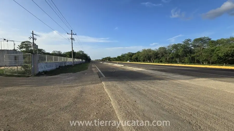 Terreno de 4.8 Hectareas Frente a Carretera Merida a Campeche — foto 2