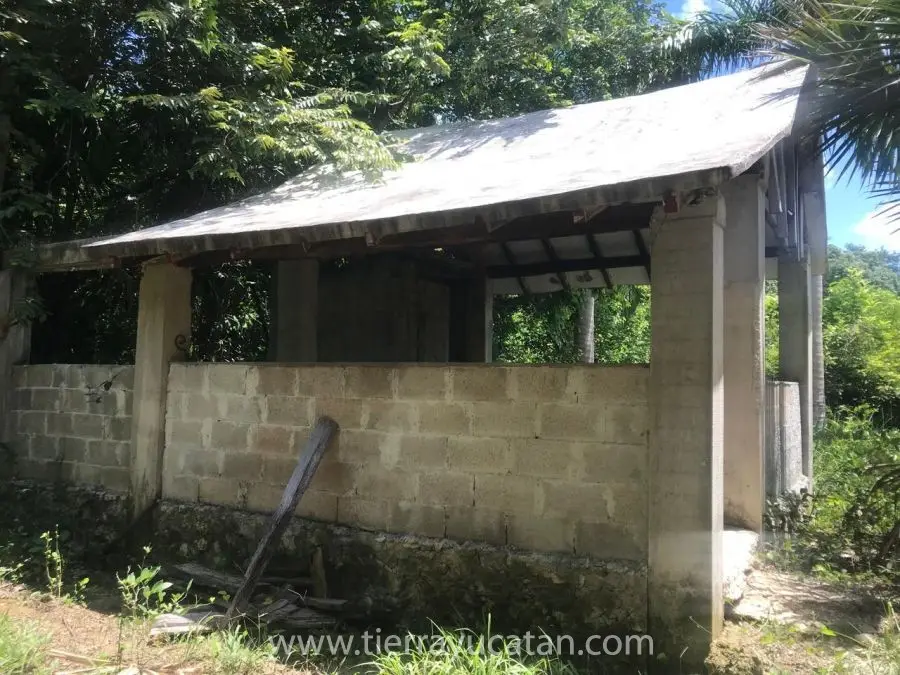 Solferino: Tu Terreno Cerca de Holbox, Quintana Roo — foto 3