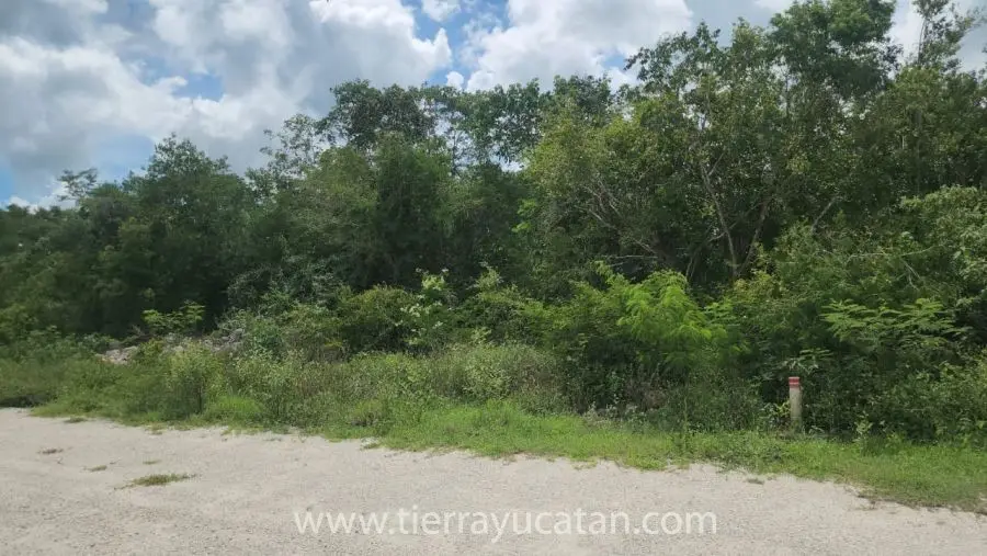 Terreno 400m2 en Carretera Mérida–Chicxulub | Plusvalía en Crecimiento — foto 3