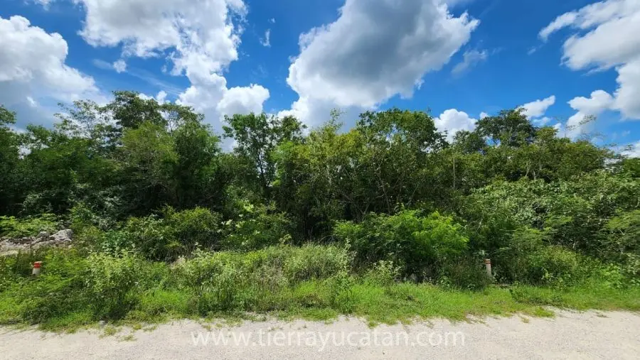 Terreno 400m2 en Carretera Mérida–Chicxulub | Plusvalía en Crecimiento — foto 5