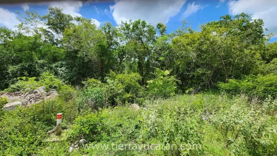 Terreno 400m2 en Carretera Mérida–Chicxulub | Plusvalía en Crecimiento — foto 6