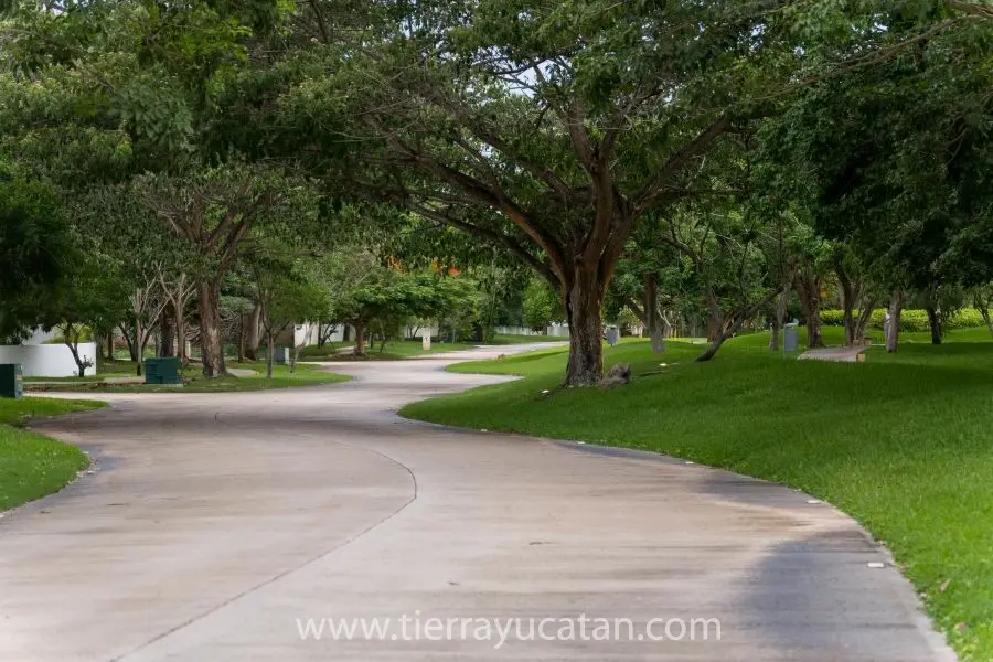 Oportunidad Única: Espectacular Casa Contemporánea en el Exclusivo Parque Central, Cholul — foto 2