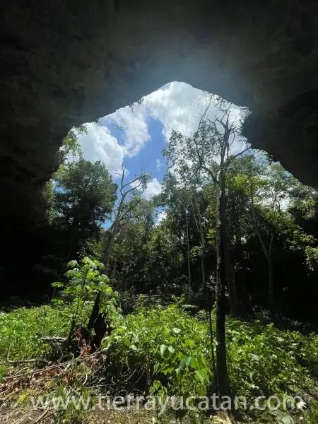 33 Hectáreas con Cenote y Rejoyada Centenaria Frente a Carretera en Valladolid, Yucatán | Oportunidad Única de Inversión Natural