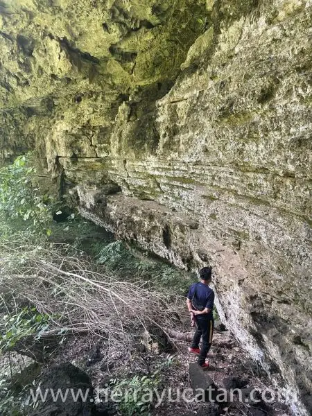 33 Hectáreas con Cenote y Rejoyada Centenaria Frente a Carretera en Valladolid, Yucatán | Oportunidad Única de Inversión Natural — foto 2