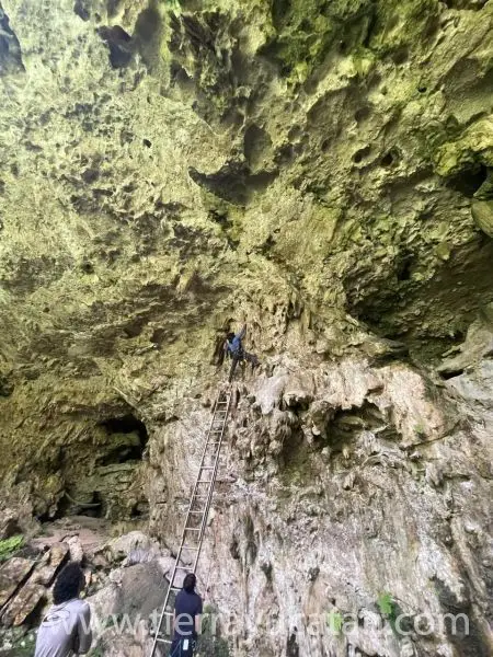33 Hectáreas con Cenote y Rejoyada Centenaria Frente a Carretera en Valladolid, Yucatán | Oportunidad Única de Inversión Natural — foto 3