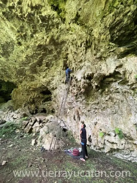 33 Hectáreas con Cenote y Rejoyada Centenaria Frente a Carretera en Valladolid, Yucatán | Oportunidad Única de Inversión Natural — foto 4