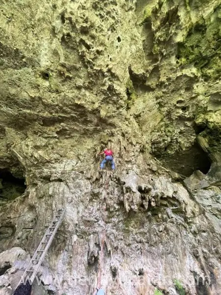33 Hectáreas con Cenote y Rejoyada Centenaria Frente a Carretera en Valladolid, Yucatán | Oportunidad Única de Inversión Natural — foto 6