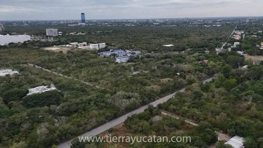 Terreno en Esquina Frente Avenida en Temozón Norte — foto 5