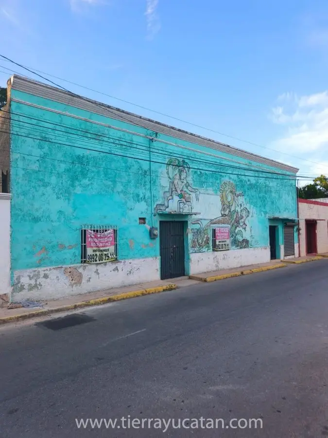 Encantadora Propiedad en Venta en Calkiní, Campeche – Vida Tranquila Rodeada de Naturaleza