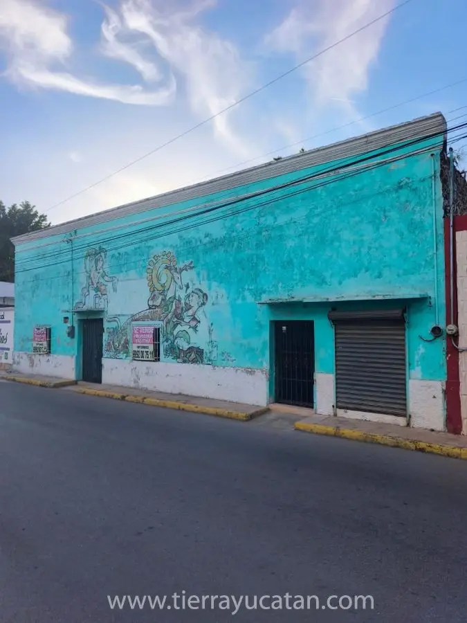 Encantadora Propiedad en Venta en Calkiní, Campeche – Vida Tranquila Rodeada de Naturaleza — foto 2
