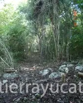 Excelente Terreno para Desarrollo de 79.5 Hectáreas Diez Min de Chichén Itzá — foto 4