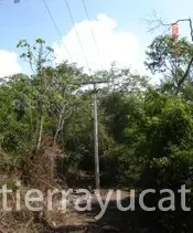 Excelente Terreno para Desarrollo de 79.5 Hectáreas Diez Min de Chichén Itzá — foto 6