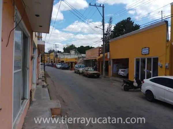Haciendo Negocios en Izamal — foto 6