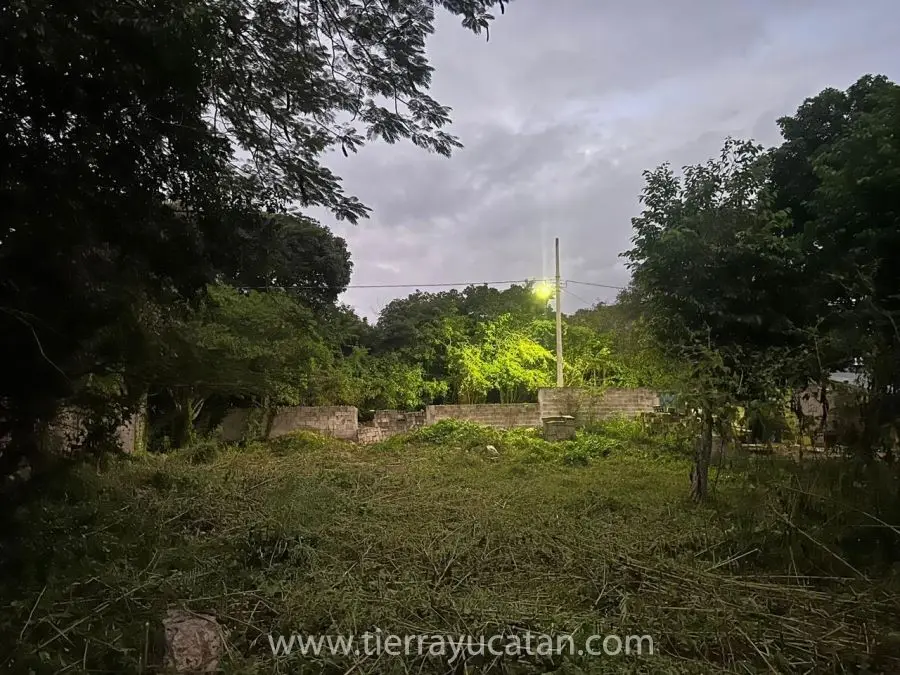 Terreno Tepakan — foto 6
