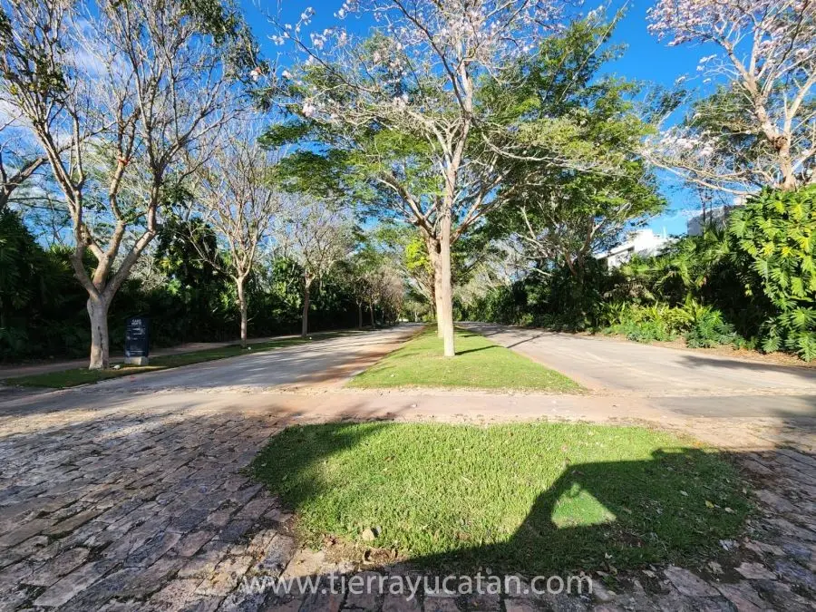 Terreno en Venta en Licata, Cabo Norte, Mérida — foto 6