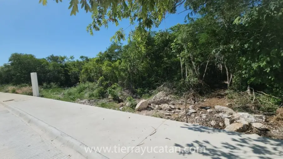 Hermoso Terreno en Privada con Campo de Golf y Casa Club en Provincia — foto 6