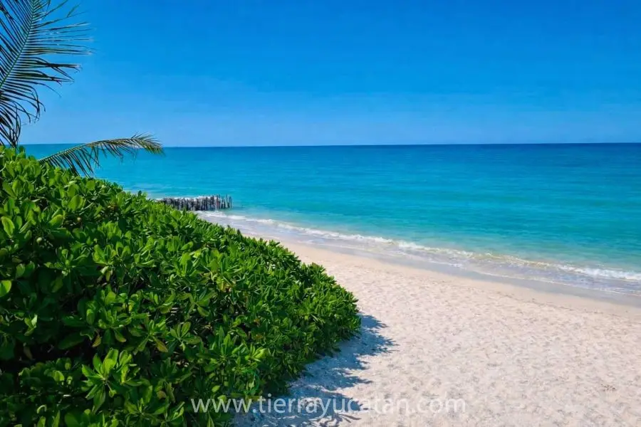 La Ultima Casa Frente al Mar Yucateco — foto 5