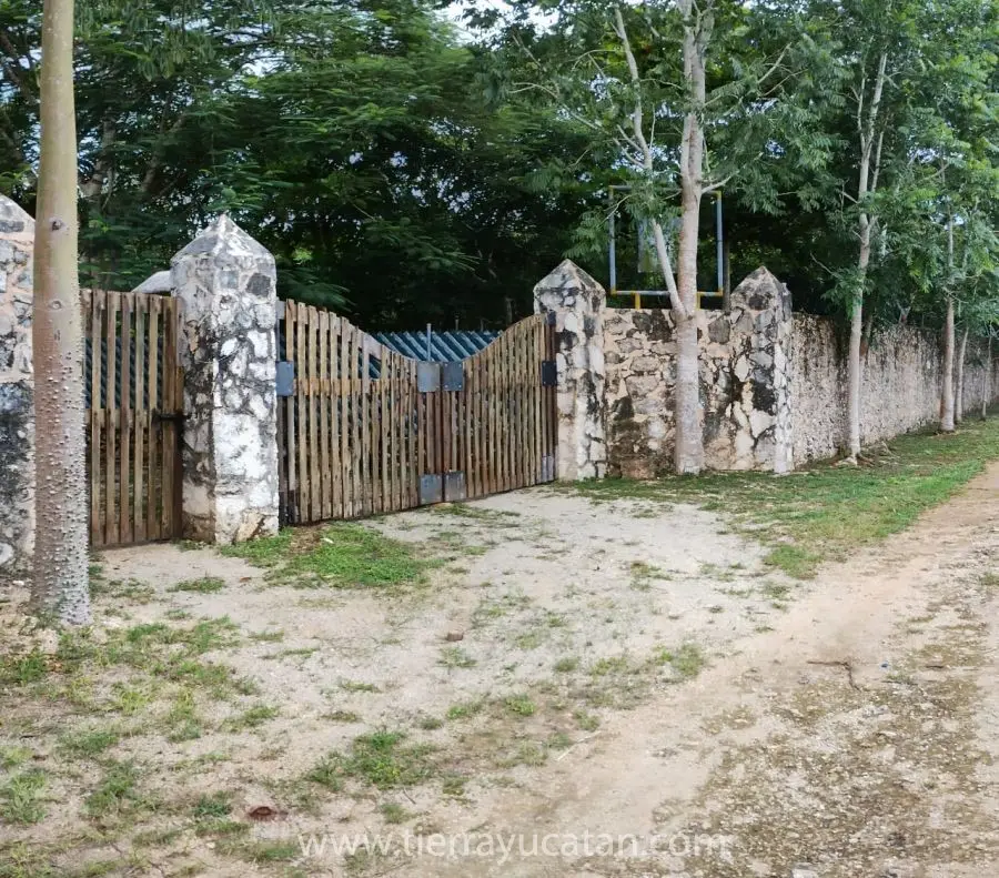 Un Bosque Eco Turistico Preparadopara Ser Autosustentable, Incluye 5 Casa Muebles de Epoca y Algunas Obras de Arte — foto 2