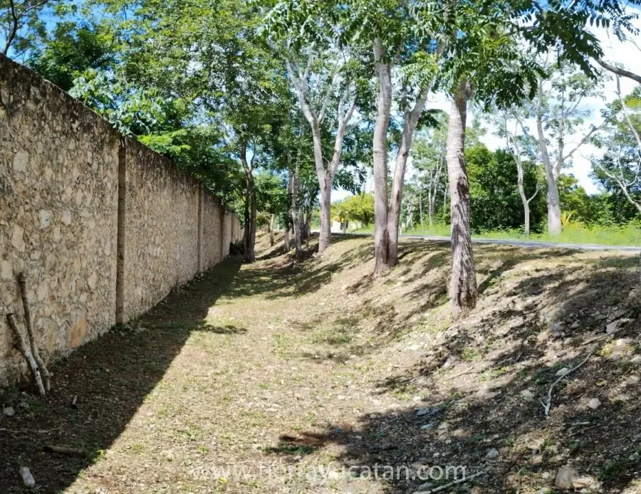 Un Bosque Eco Turistico Preparadopara Ser Autosustentable, Incluye 5 Casa Muebles de Epoca y Algunas Obras de Arte — foto 3