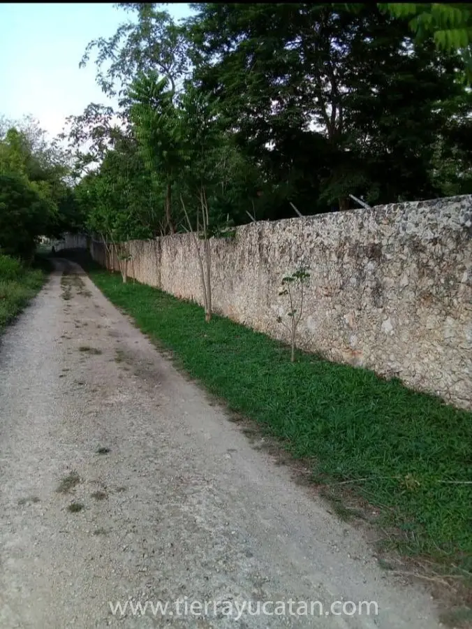 Un Bosque Eco Turistico Preparadopara Ser Autosustentable, Incluye 5 Casa Muebles de Epoca y Algunas Obras de Arte — foto 4