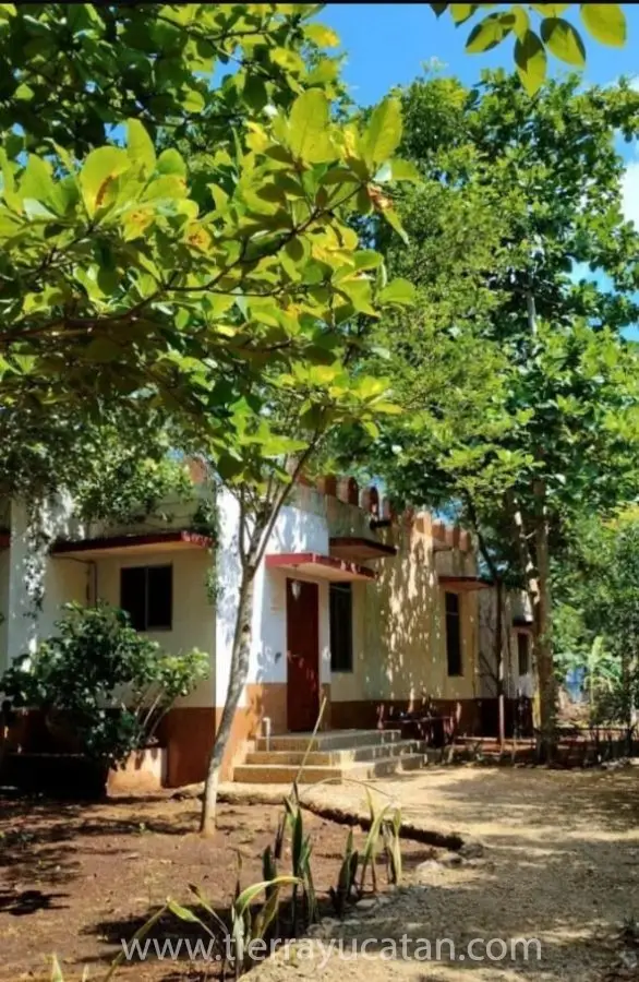 Un Bosque Eco Turistico Preparadopara Ser Autosustentable, Incluye 5 Casa Muebles de Epoca y Algunas Obras de Arte — foto 6
