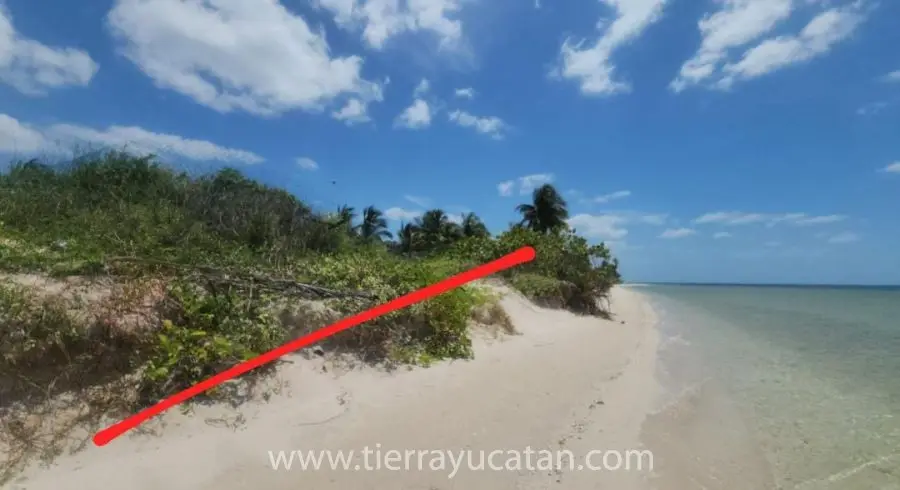 Una Joya! Céntrico Terreno de Playa! 18.55 Metros Frente al Mar por 49 Fondo en San Crisanto Yucatan — foto 2