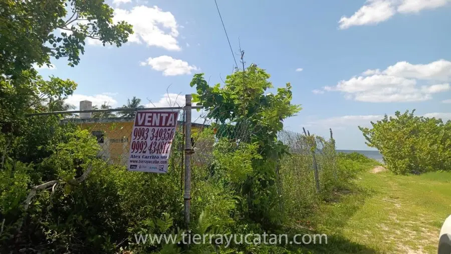 Una Joya! Céntrico Terreno de Playa! 18.55 Metros Frente al Mar por 49 Fondo en San Crisanto Yucatan — foto 3