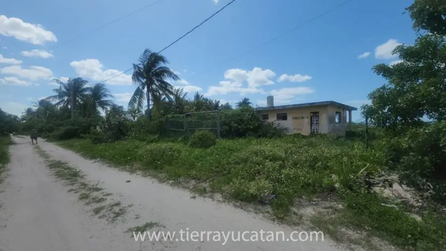Una Joya! Céntrico Terreno de Playa! 18.55 Metros Frente al Mar por 49 Fondo en San Crisanto Yucatan — foto 4