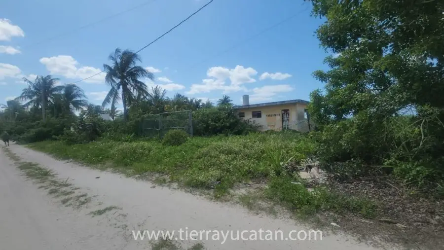 Una Joya! Céntrico Terreno de Playa! 18.55 Metros Frente al Mar por 49 Fondo en San Crisanto Yucatan — foto 5