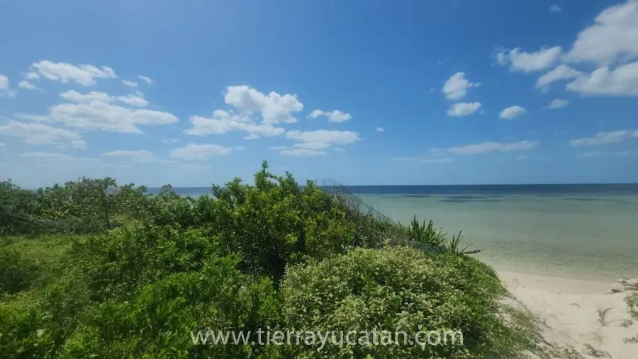 Una Joya! Céntrico Terreno de Playa! 18.55 Metros Frente al Mar por 49 Fondo en San Crisanto Yucatan — foto 6